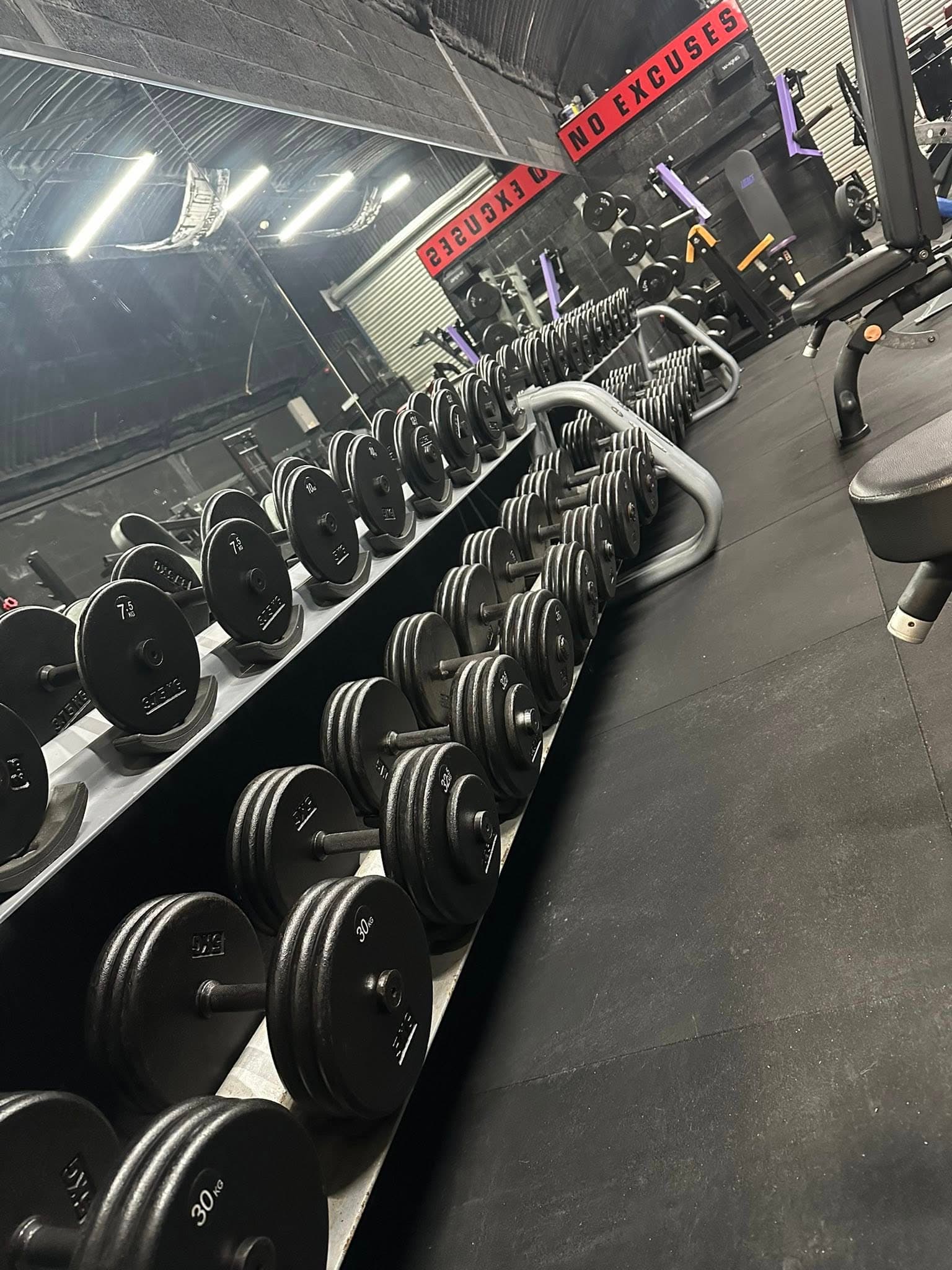 Dumbbell rack at Limitless Gym MK — dumbbells up to 80kg